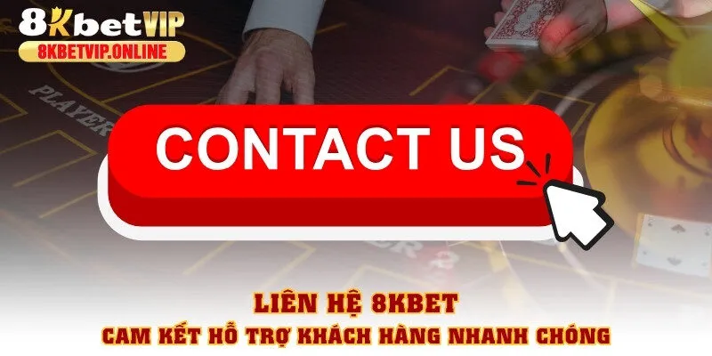 Liên hệ 8KBET - Cam kết hỗ trợ khách hàng nhanh chóng